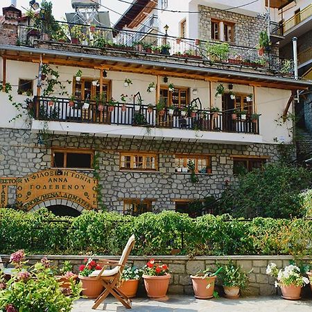 Apartmán Filoxeni Gonia Metsovo Exteriér fotografie