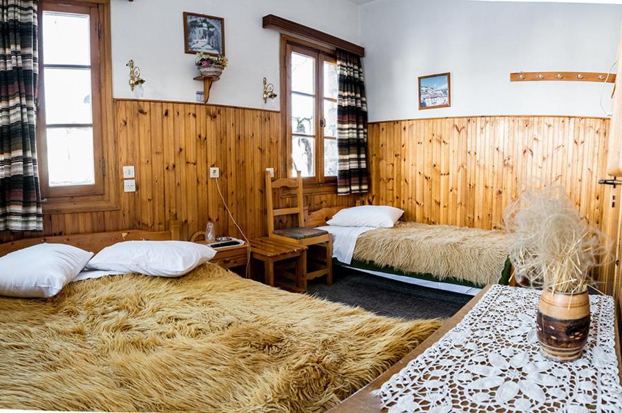 Apartmán Filoxeni Gonia Metsovo Exteriér fotografie